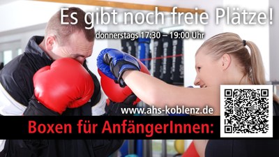 Display_Boxen_Anfaenger_2026.jpg