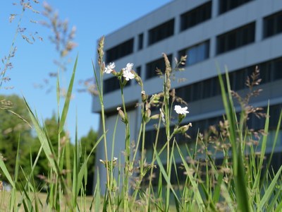 Institut für Soziologie - Gebäude E