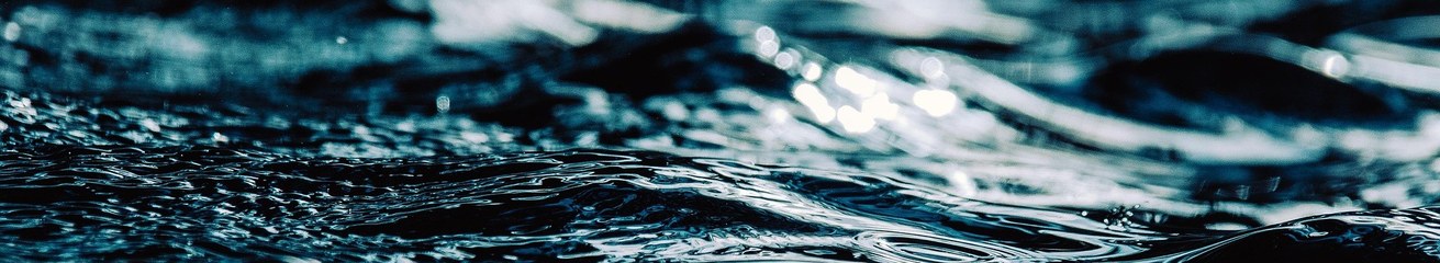 Bild: Pixabay | wal_172619