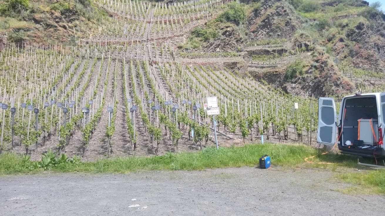 Vorschaubild