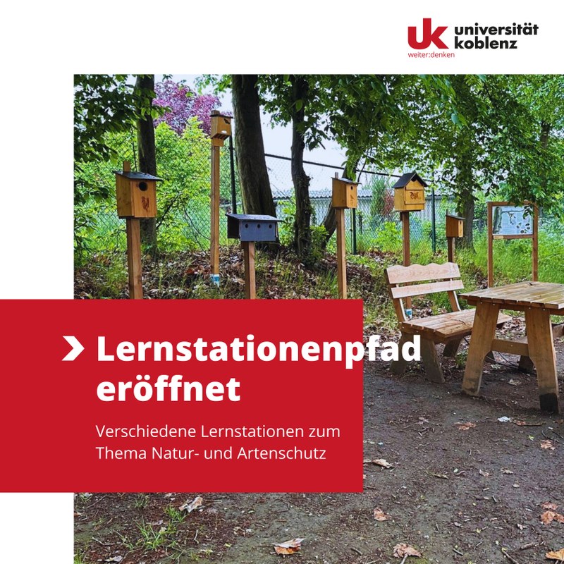  Universität Koblenz Bildidee 