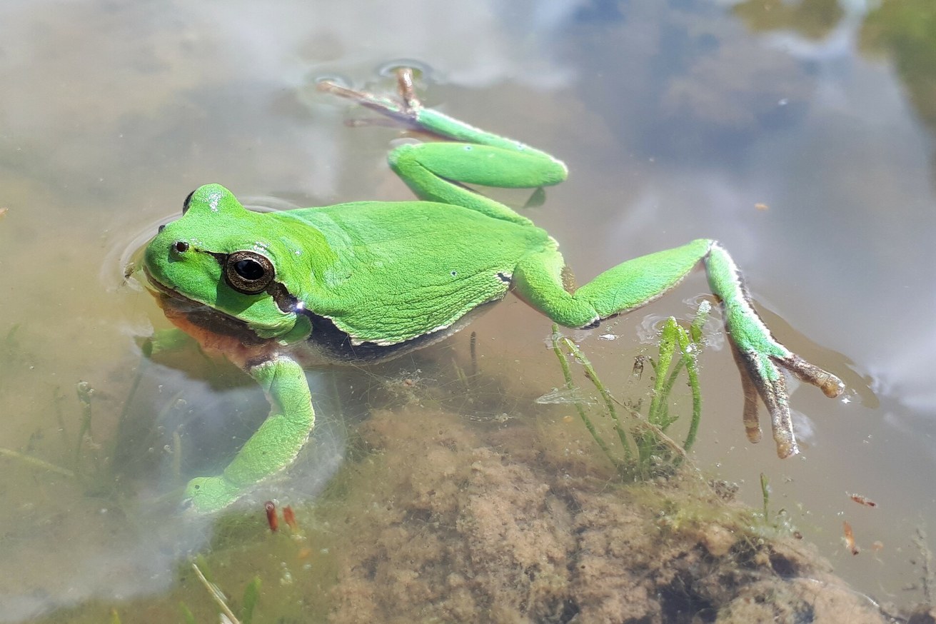 Institut für Integrierte Naturwissenschaften