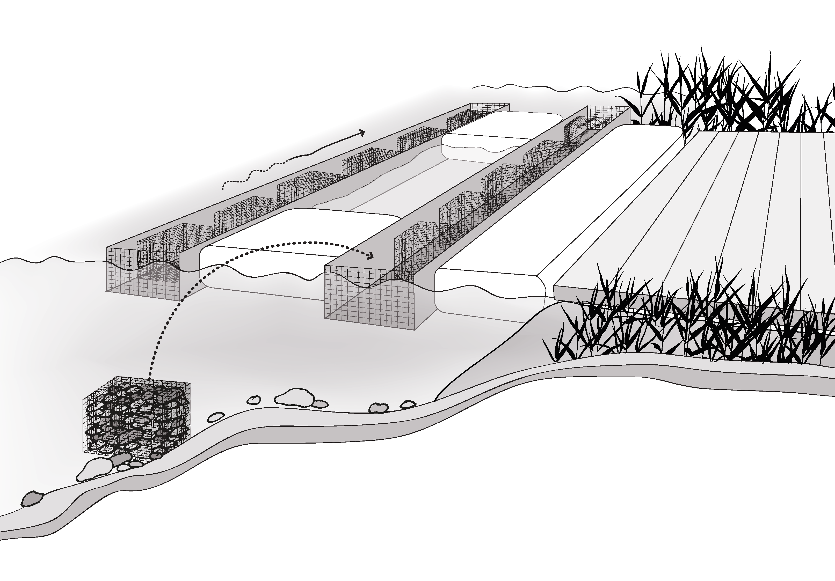 Schema der geplanten Mesokosmosanlage