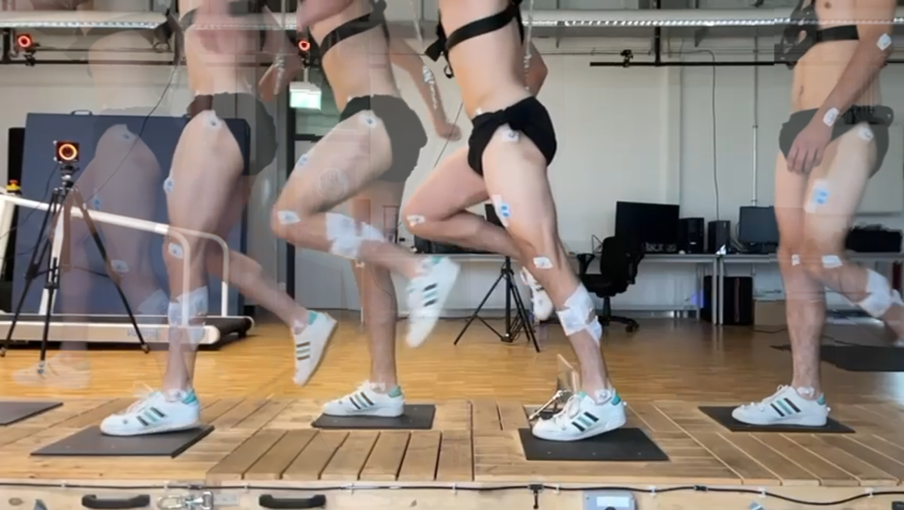 AG Trainings- und Bewegungswissenschaft