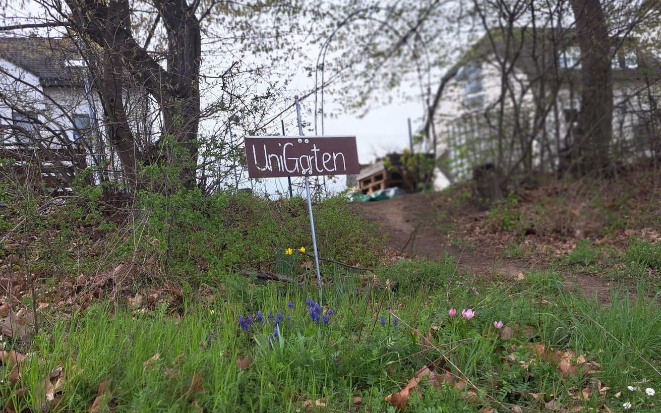 Mitmachen & aktiv werden