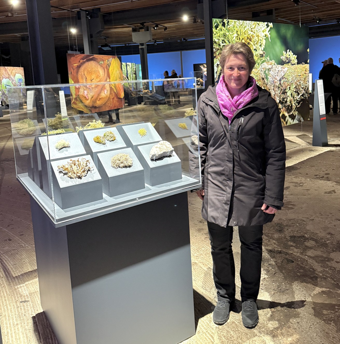 Dr. Dorothee Killmann neben der Vitrine, in der ihre Flechten und Moose zu sehen sind, in der Ausstellung "Mythos Wald" in Oberhausen. Bild: Dr. Dorothee Killmann / Burkhard Leh