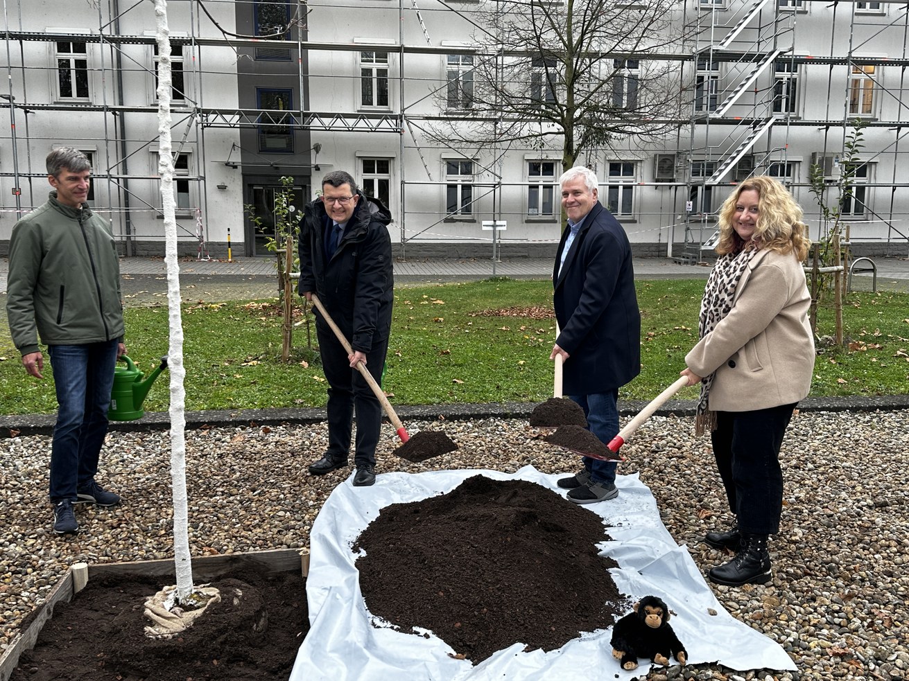 V. l. n. r.: Prof. Dr. Hennig Pätzold, Prof. Dr. Stefan Wehner, Prof. Dr. Eberhard Fischer und Prof. Dr. Claudia Quaiser-Pohl pflanzen die symbolträchtige Elsbeere auf dem Universitätscampus. Bild: Universität Koblenz / Judith Böseke