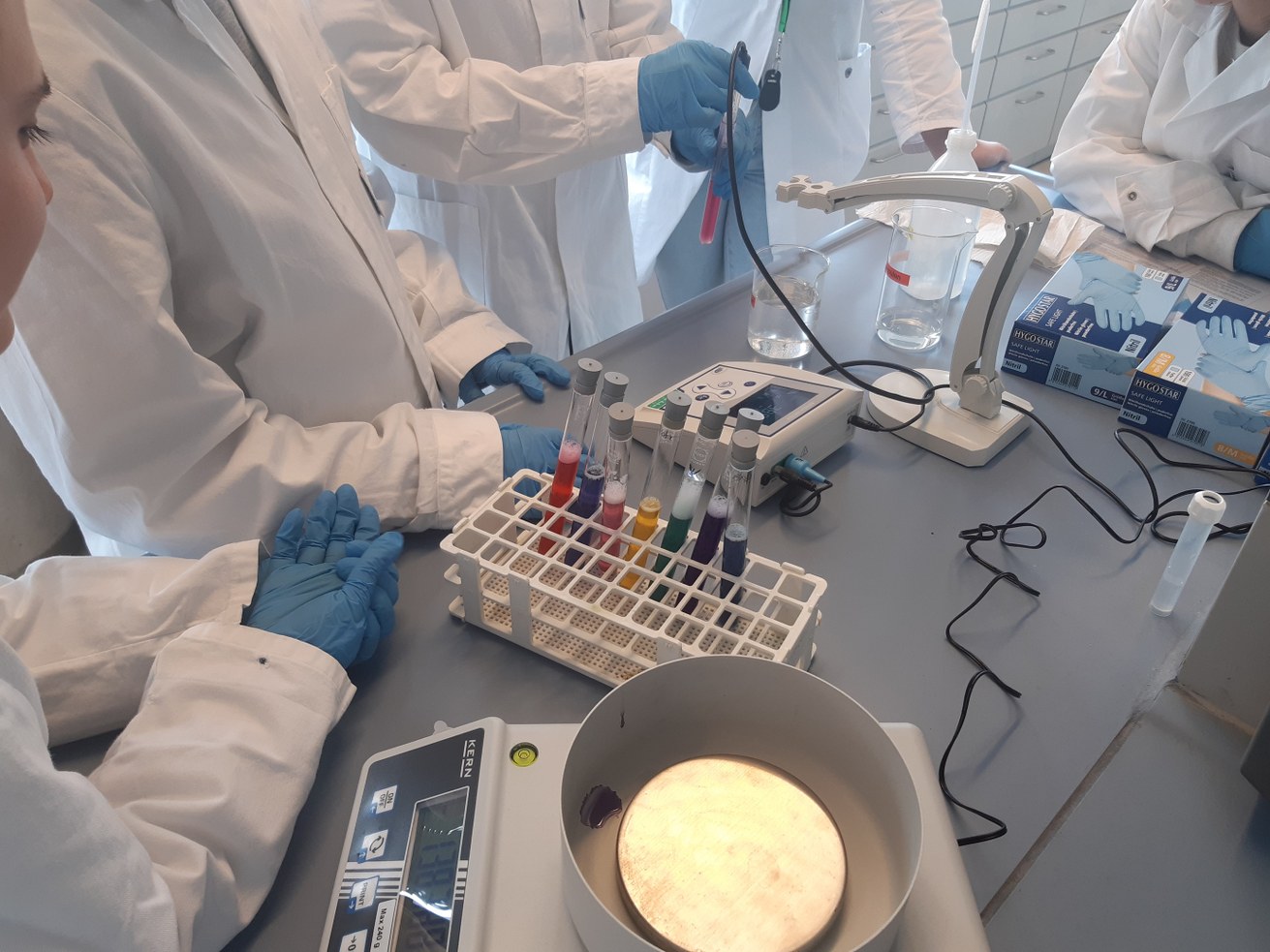 Junge Schülerinnen erhielten einen Einblick in verschiedene MINT-Arbeitsbereiche an der Universität Koblenz. Dazu zählte auch ein Besuch im Labor der Biologie. Bild: Ruth Sandforth
