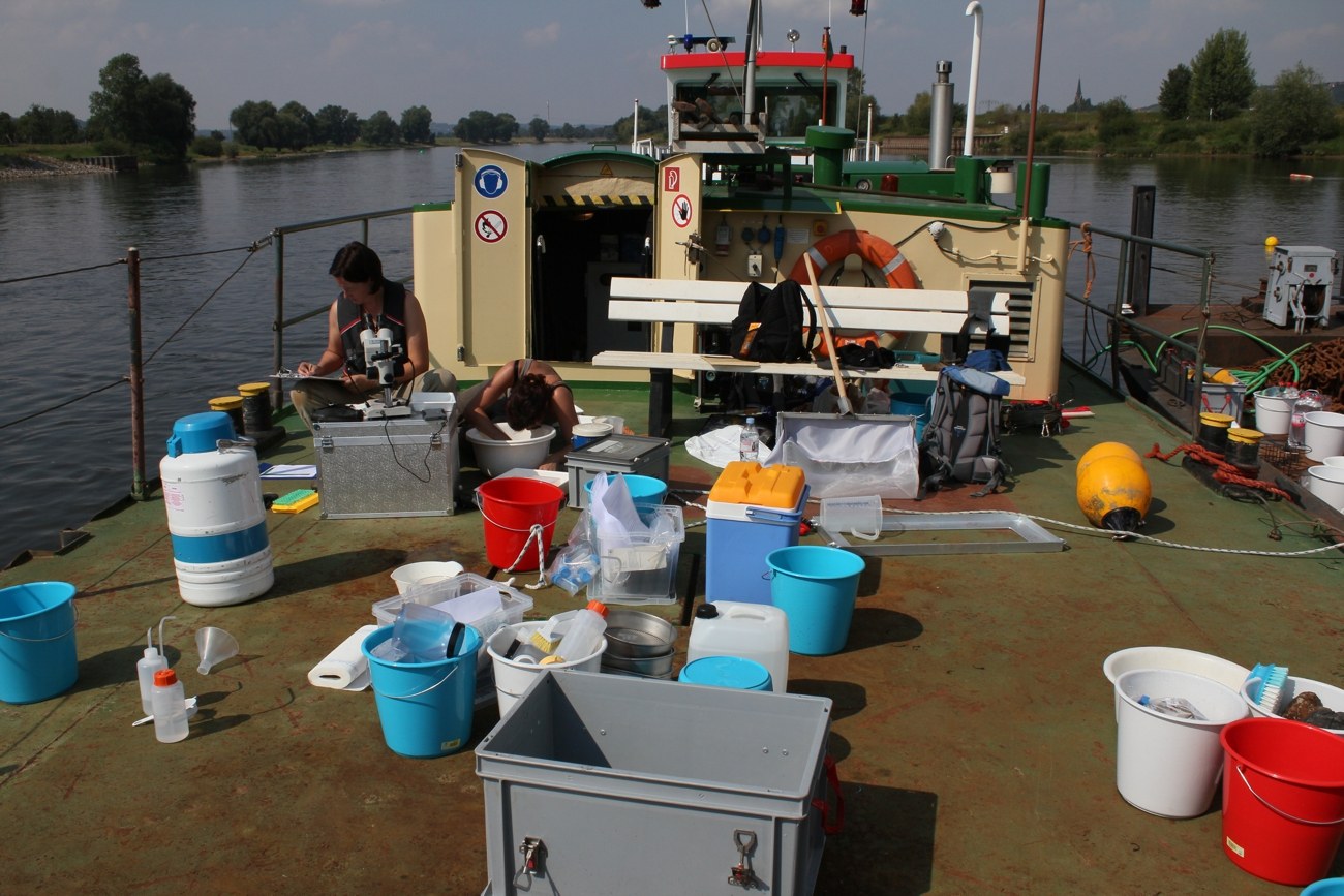 PD Dr. Carola Winkelmann (li.) und Claudia Hellmann von der Universität Koblenz bewerten Proben auf einem Schiff der Wasser- und Schifffahrtsverwaltung des Bundes. Bild: Universität Koblenz / Susanne Worischka