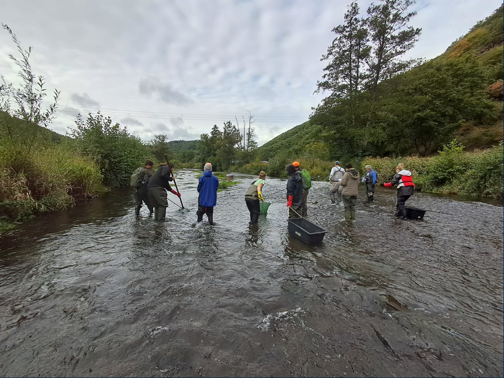 Ein Befischungsteam unterstützt die Erhebung des Fischbestands in der Ahr. Bild: Projekt MonAHR