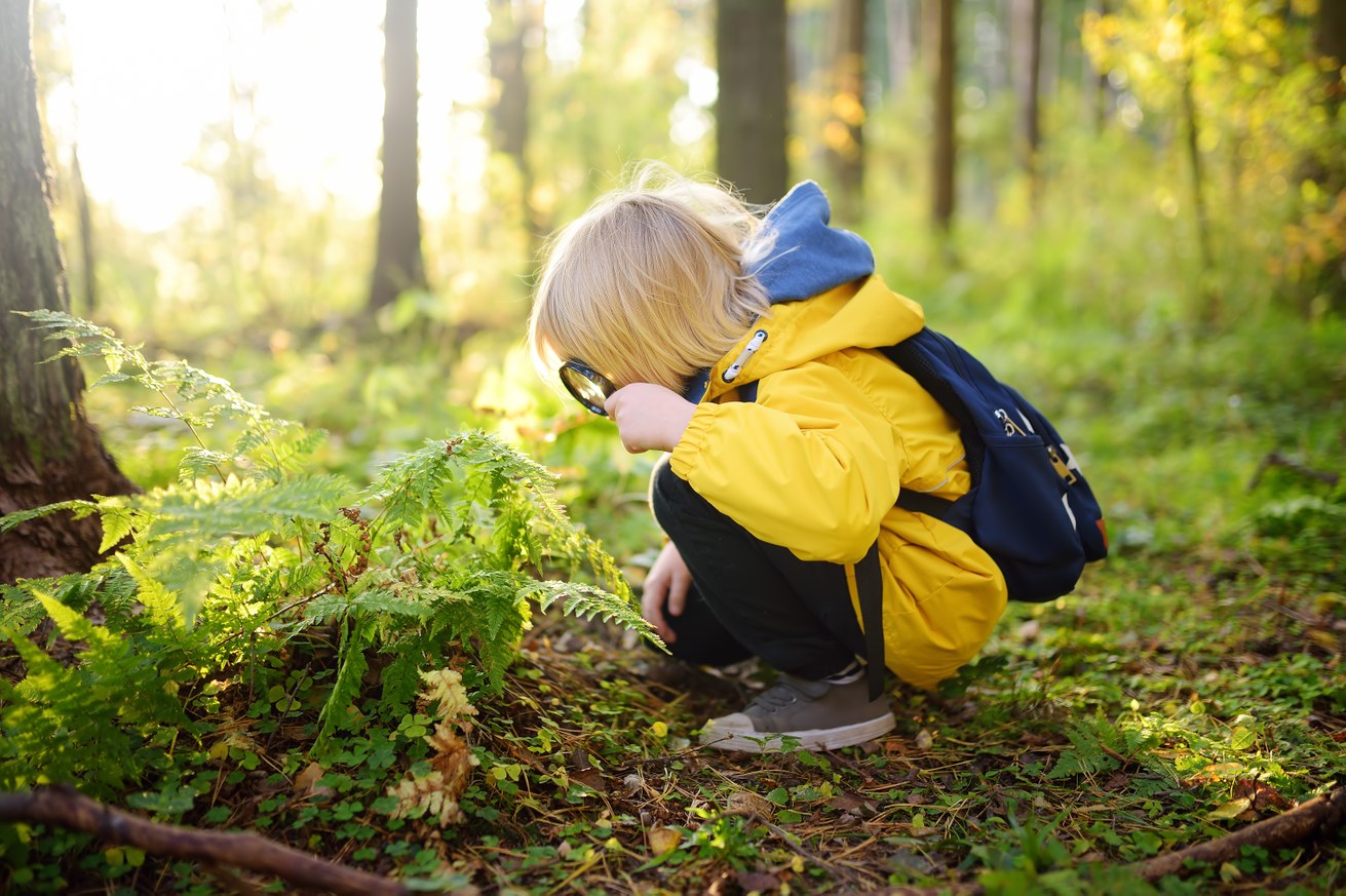 Tiere und Natur zählen zu den populärsten Spielthemen. Bild: Colourbox