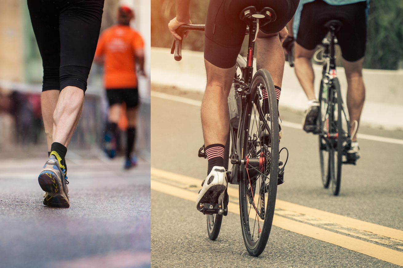 Läufer und Radfahrer nutzen beide das gefiederte Muskeldesign, um die Kraft ihrer unteren Gliedmaßen zu maximieren. Bilder: Colourbox
