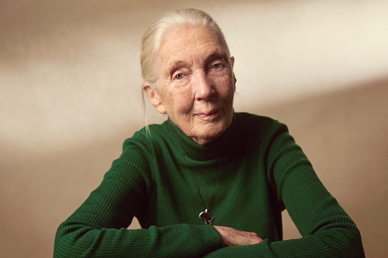 Dr. Jane Goodall Goodall setzte sich bis zu ihrem Tod für den Naturschutz und den Erhalt der Artenvielfalt ein. ©Katherine Holland