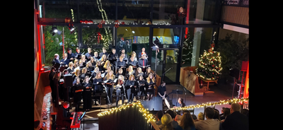 Choirs for Ecocid laws