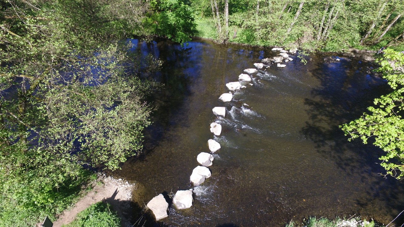 Stream ecology