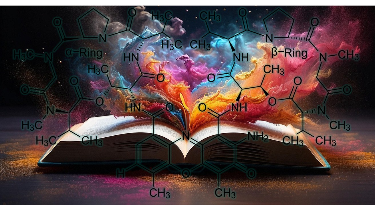 Publications